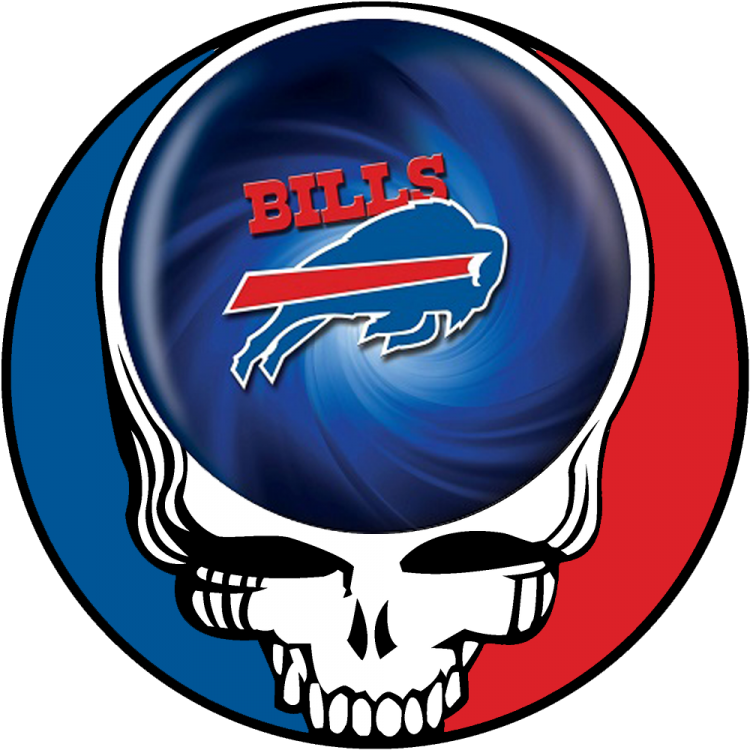Buffalo Bills skull logo iron on transfers...